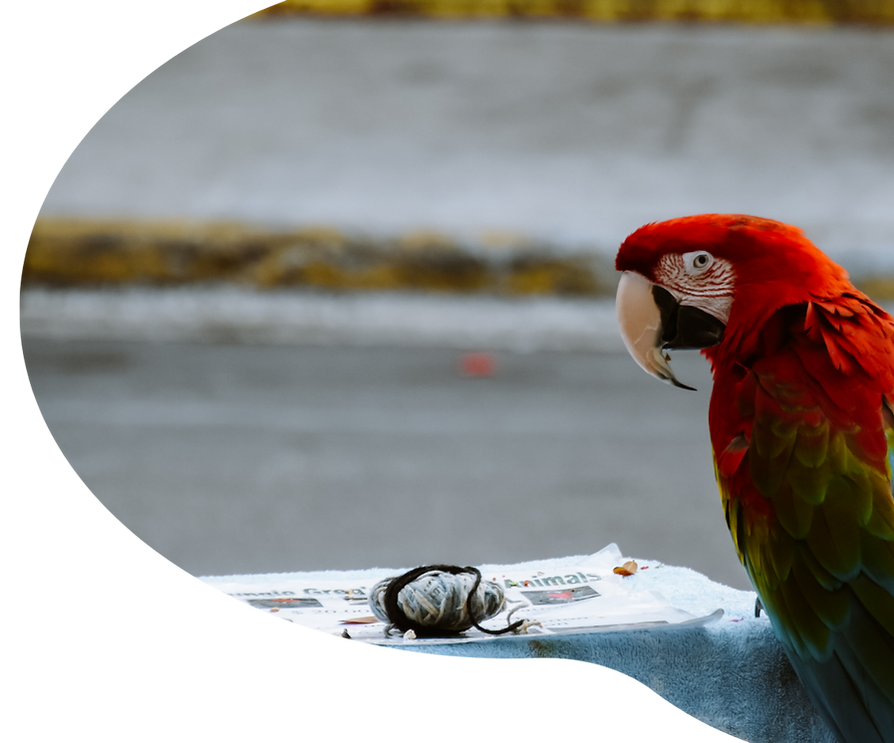 Kopie van Ontwerp zonder titel (92).png