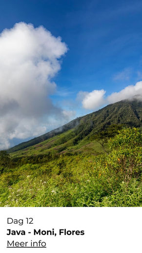 Avontuurlijke rondreis door Indonesië – hiking tussen jungle, vulkanen en rijstvelden, van Sumatra tot Bali - Moni Flores