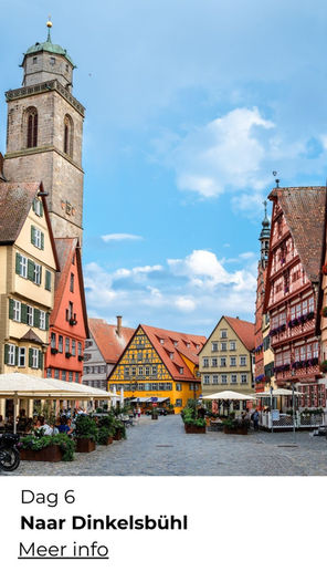 Winterse wandelgroepsreis met ontspanning en natuur – ReisActief x ReisZin