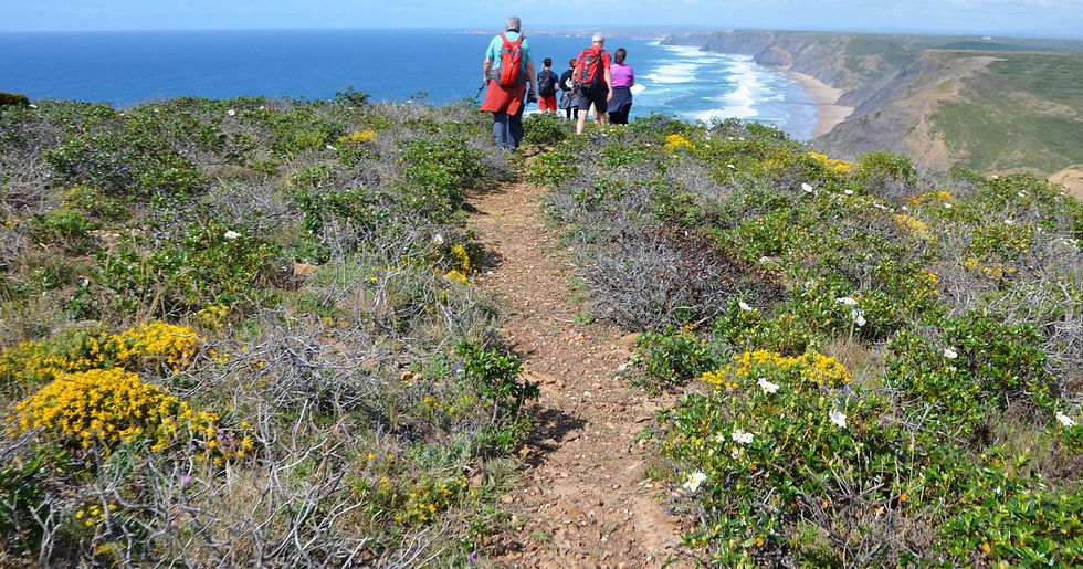 Actieve wandelreis 50+ in natuur met kliffen, kustlijn en ontspannen tempo