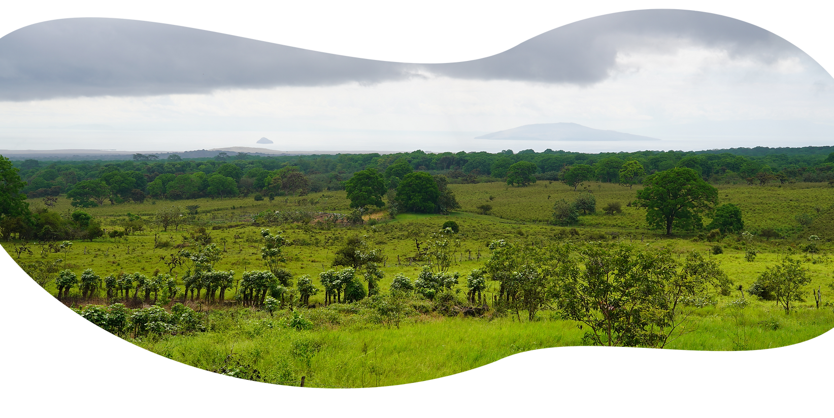 Reis door Ecuador: van kleurrijke markten en vulkanen tot tropisch regenwoud en de unieke dierenwereld van de Galápagos.