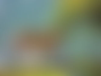 Zelf een rondreis plannen of laten samenstellen? Dit zijn de echte verschillen