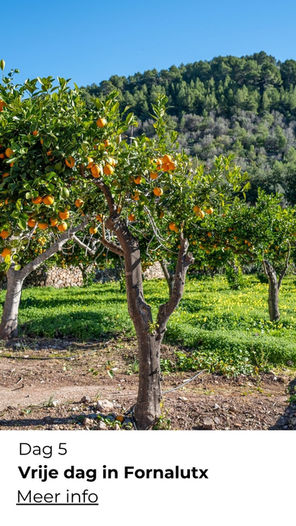 Wandelaars genieten van de natuur op Mallorca