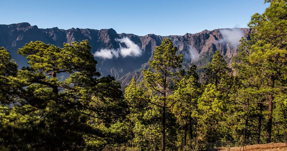 Wandelen door recente lavavelden van de Cumbre Vieja tijdens een wandelgroepsreis en actief overwinteren op La Palma
