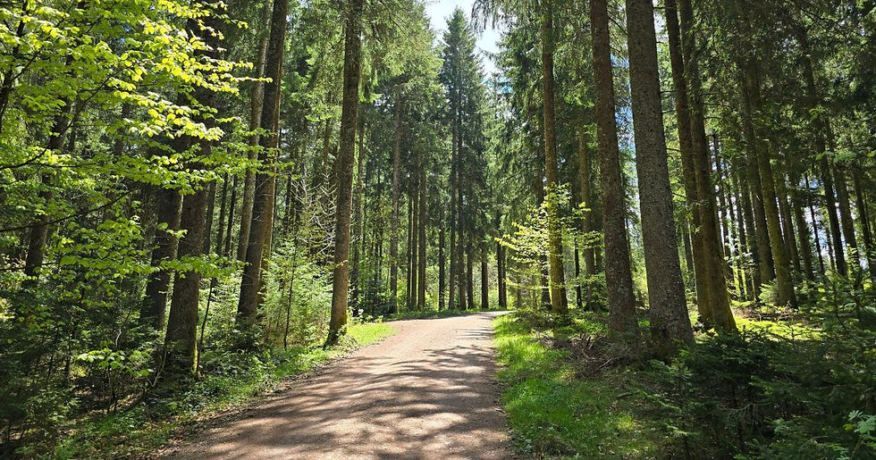 Wandelreizen in Duitsland voor actieve 50-plussers met kleine groepen en ontspannen wandelroutes