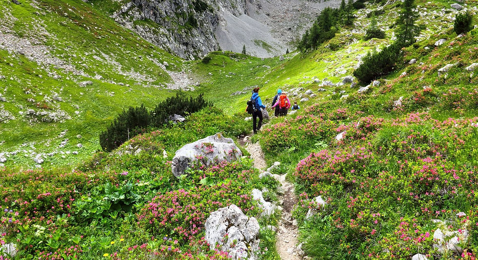 Wandelreis Europa in kleine groep door natuur en landschap
