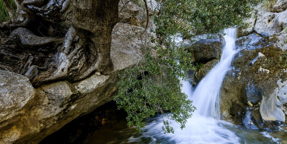 Mooiste wandelgebieden van Mallorca
