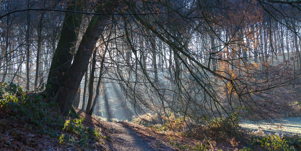 Wandelvakantie tijdens de feestdagen in Nederland