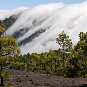 Vulkanische wandelroute in de Cumbre Vieja op La Palma met uitzicht over de Atlantische Oceaan en lavavelden