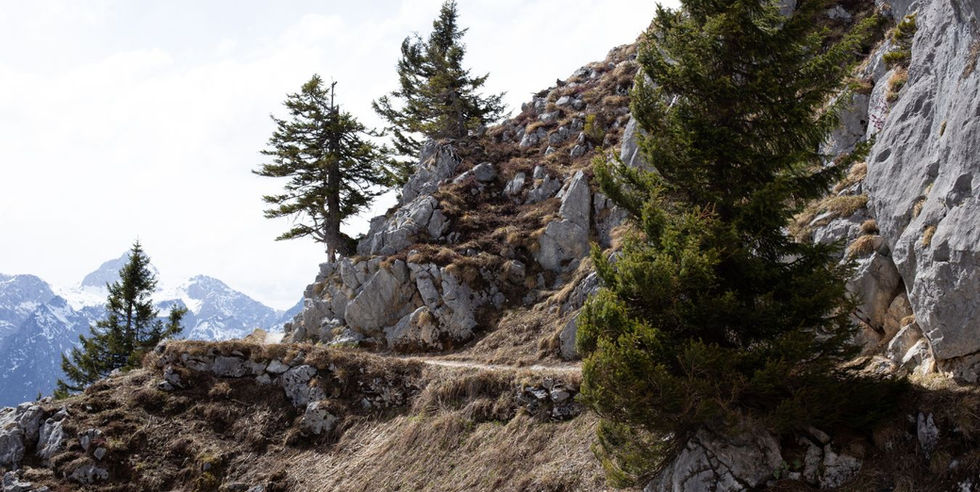 Groepswandelreis in de Beierse Alpen inclusief treinreis