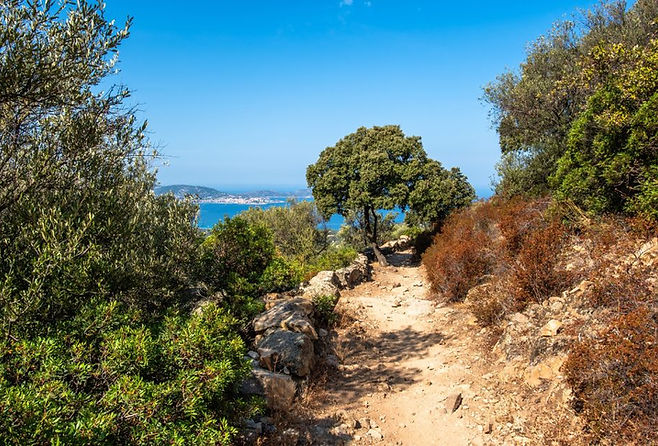 wandelvakantie Corsica in Zuid-Europa
