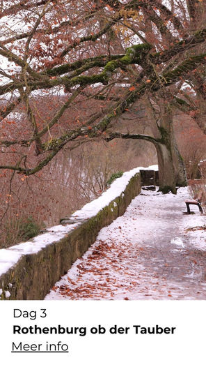 Wandelreis met winterse natuur en sfeervolle steden – ReisActief x ReisZin