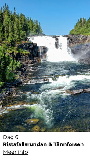 Bergwandeling in de regio Åre