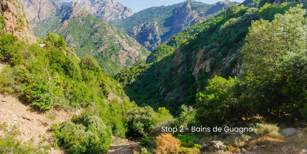 wandelen in bosrijke omgeving Corsica