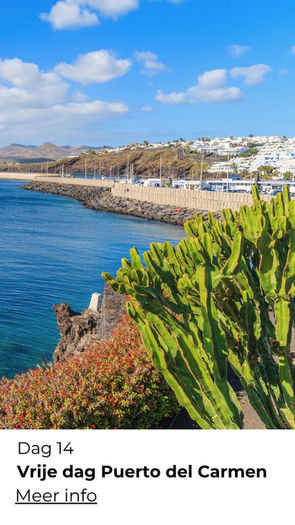 Natuurwandeling op Lanzarote met vulkanisch terrein