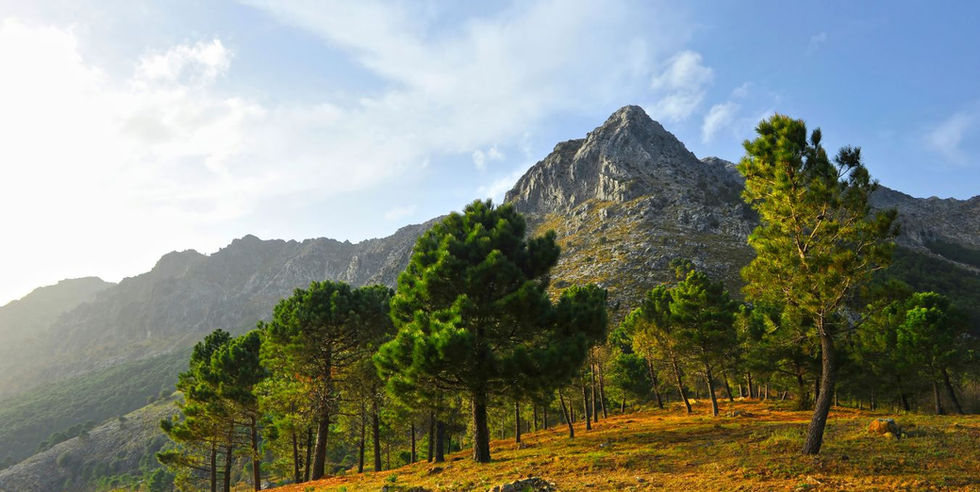 Wandelvakantie door de mooiste natuurgebieden van Andalusië