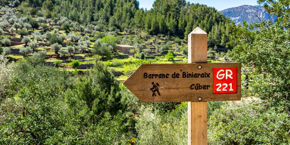 Wandelen langs de mooiste plekken van Mallorca