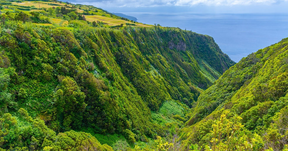 Wandelreis Azoren langs de mooiste natuur van São Miguel