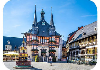 Actief-Overwinteren-Sri-Lanka-ReisActief-ReisZin-55+ (37).jpg