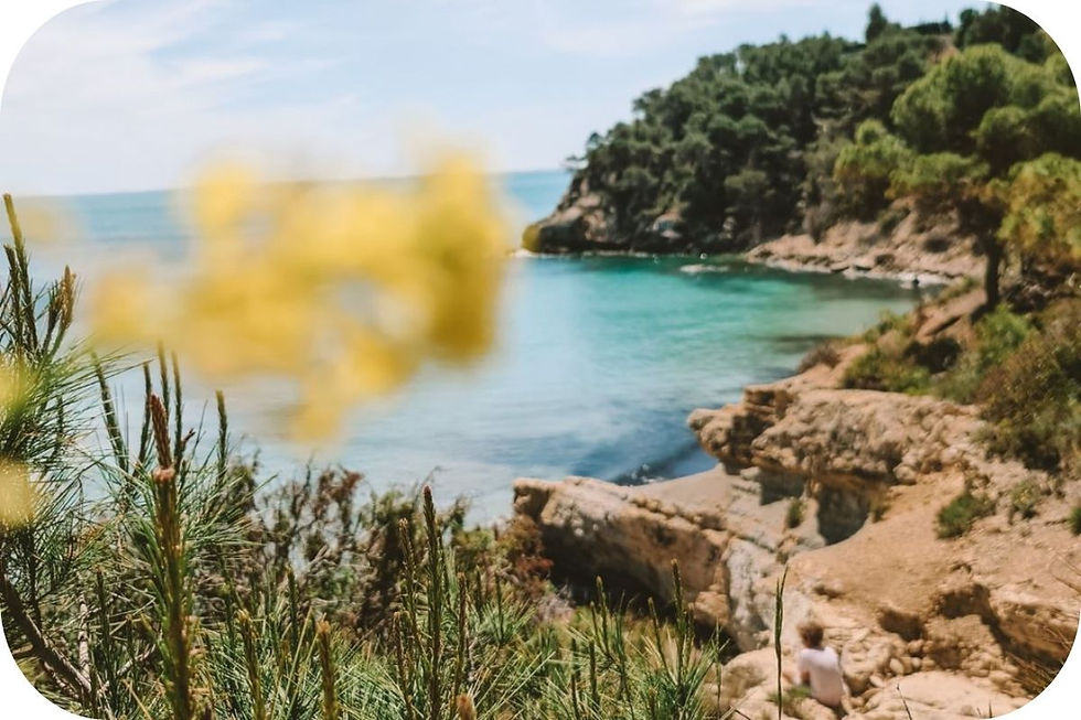 Nederlanders en Belgen die genieten van het buitenleven in Spanje met zon, tapas en ontspannen levensstijl – perfect beeld bij emigratie naar Spanje.