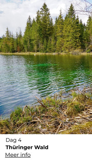 actieve wandelvakantie Duitsland Thüringer Wald natuur