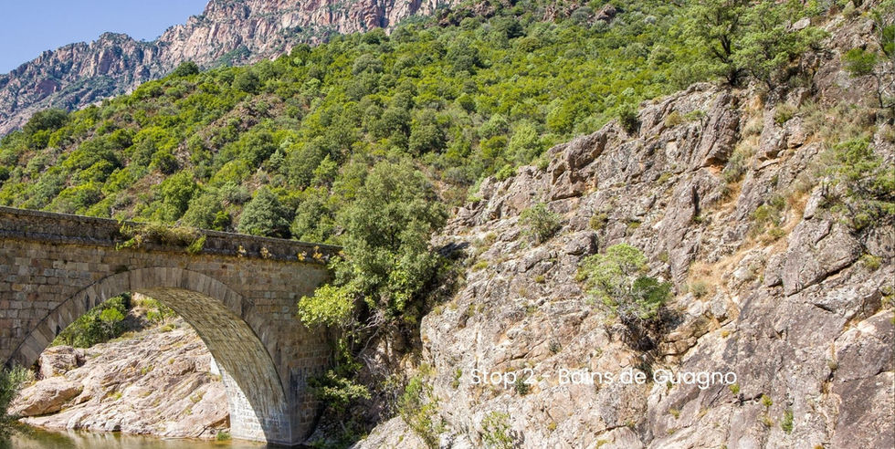 Corsica landschap met rivier en natuur