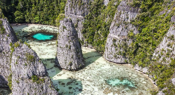 ReisZin maatwerkreis Indonesië snorkelen en duiken – kleurrijk koraalrif en zeeleven