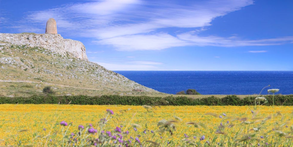 Ontdek de mooiste wandelroutes van Puglia tijdens een actieve groepsreis