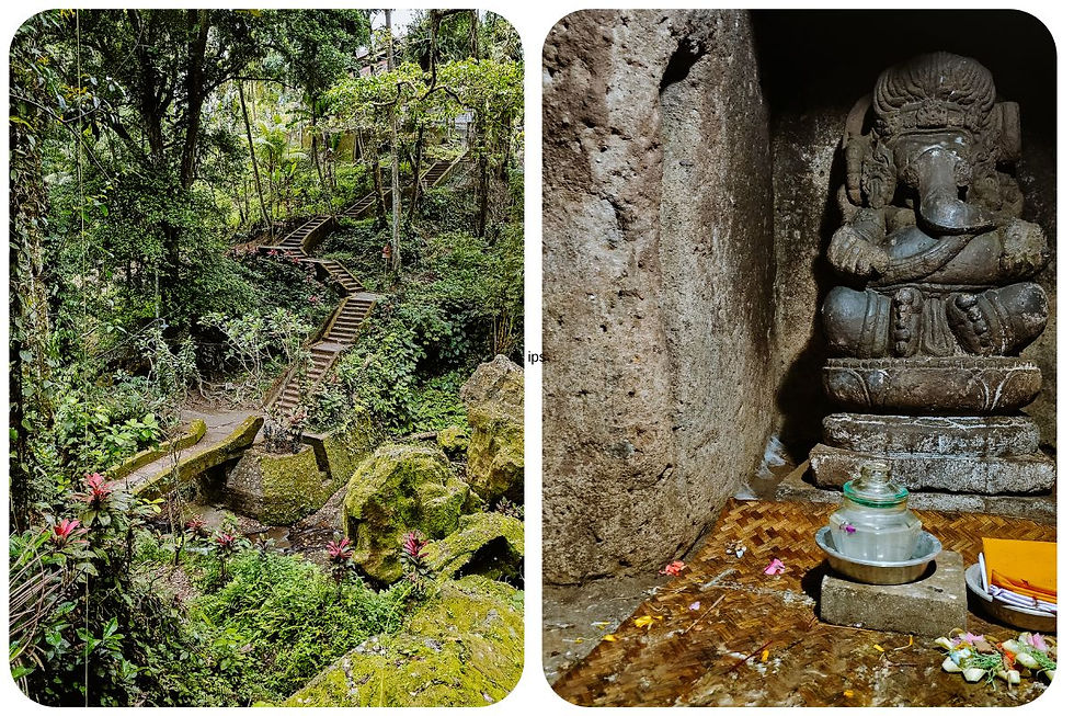 Balinese rijstvelden in Ubud Bali bij zonsopkomst – een van de 15 tips uit onze gids over wat te doen in Ubud, het spirituele hart van Bali