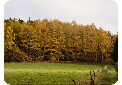 Ontspannen wandelvakantie in Luxemburg