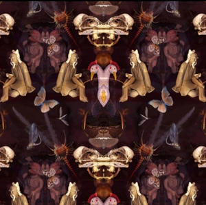 Blackpop Reader velvet fabric