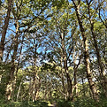 IMG_6373.jpeg