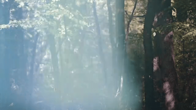 Dans la poche de l'univers-low.gif