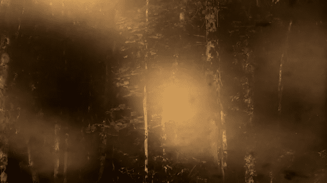 Paradis-low.gif