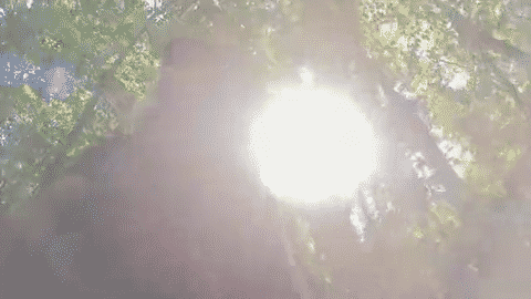 Petits échanges, grande destinée-low.gif