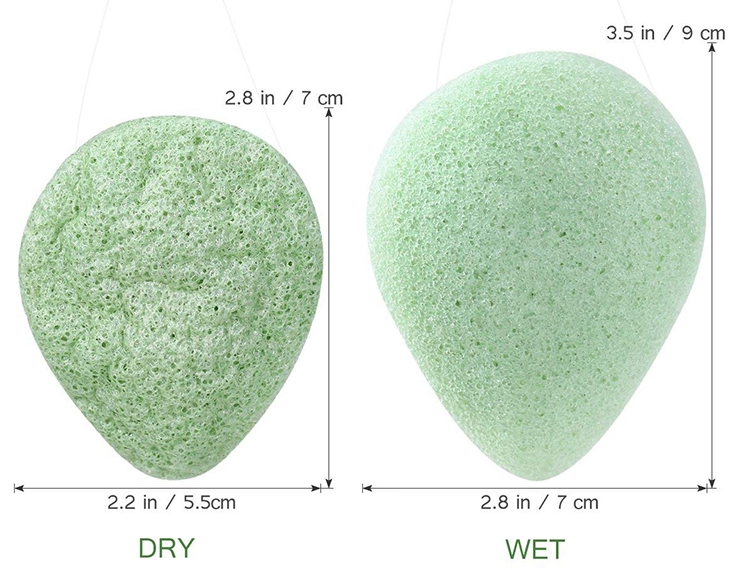 Miniaturebillede: Konjac plant sponge