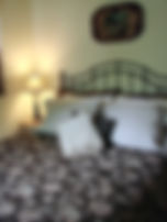 DSC05560.jpeg