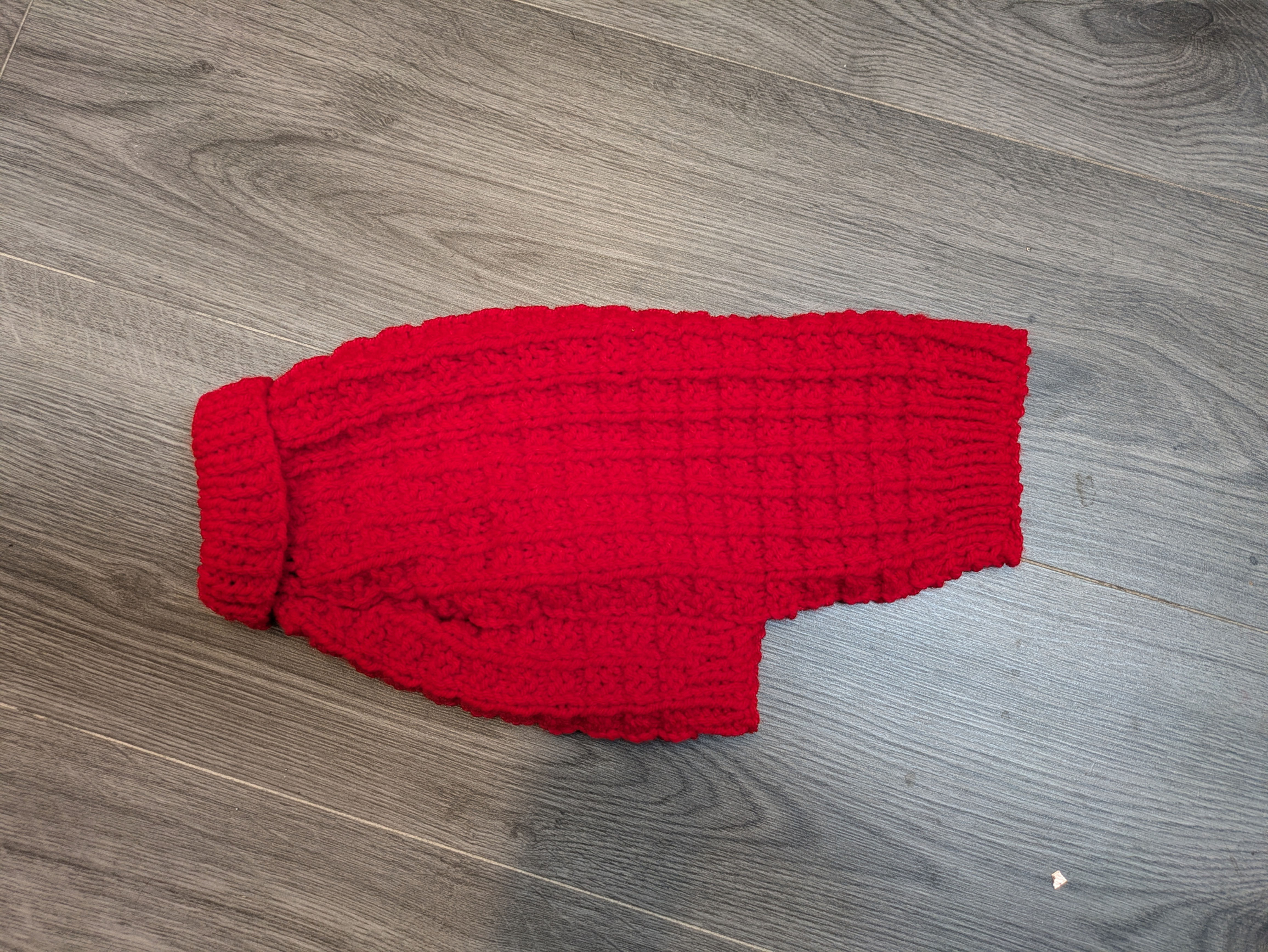 Small Red Dog Jumper