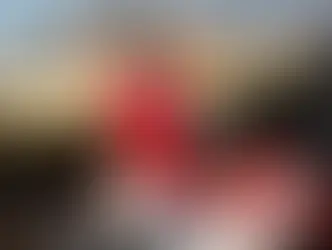 Com Bruno Crivilin, Honda Racing vence o Rally Jalapão