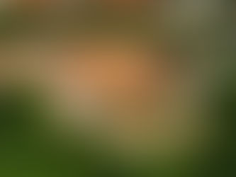 Exclusivo: Dia de treino com Paulo Alberto, Leodorico, Gabi Andrigo e Dunka no Ct Dunkas House