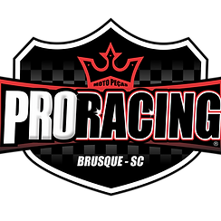 PRO RACING OK (1).png