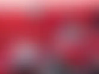 Pilotos da Honda Racing encaram na Argentina o Enduro del Verano