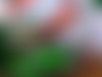 Nota: Adiada a prova de Abertura do Sportbay Campeonato Catarinense e Sul Brasileiros de Motocross