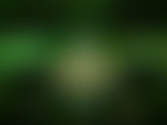 O GIGANTE VOLTOU: BANANALAMA CONFIRMA RETORNO HISTÓRICO EM 2026 COM PREMIAÇÃO RECORDE E NOVA TENTATIVA DE RECORDE MUNDIAL