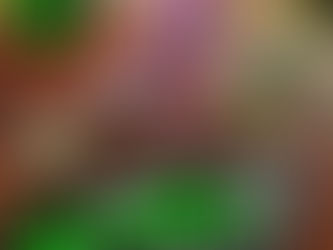 Blumenau recebe a 3ª Etapa do Sportbay Campeonato Catarinense de Velocross