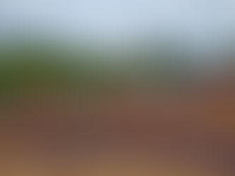 Primeiro dia de provas na 2ª Etapa do BRMX em Canelinha