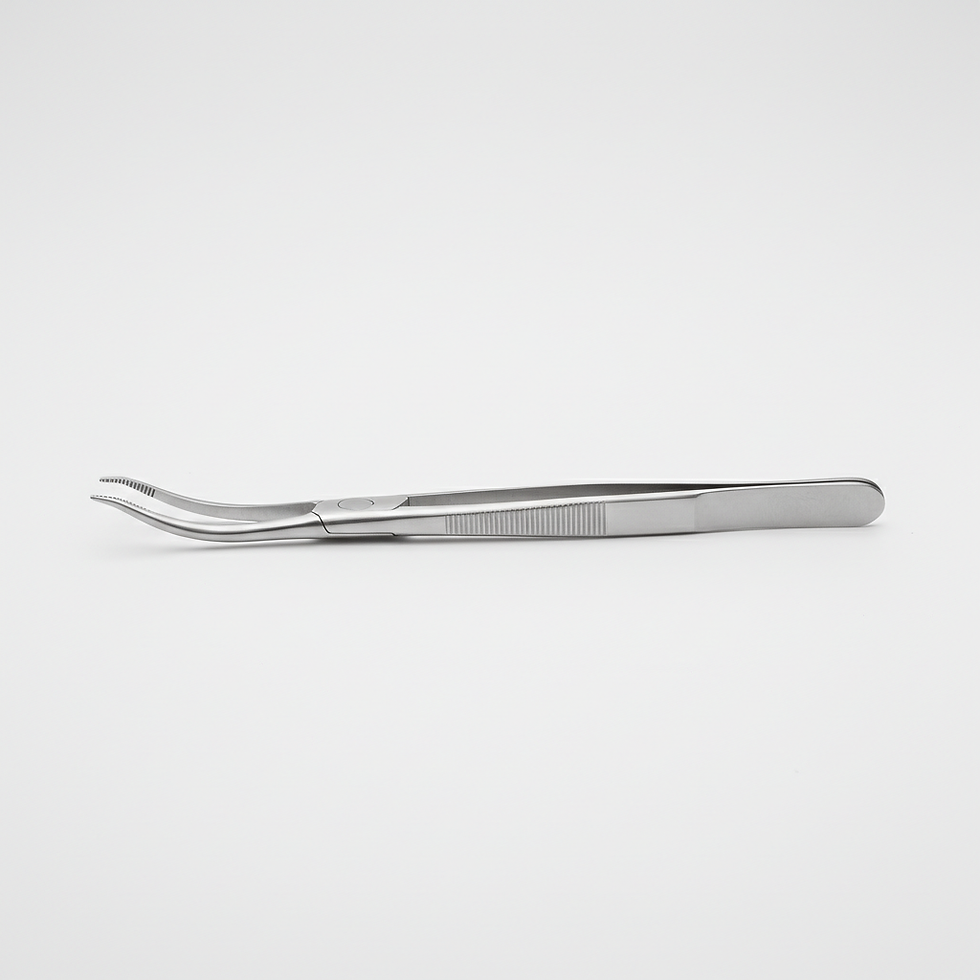 Stainless Steel Forceps