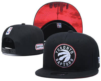 Raptors Hat