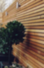 Cedar hardwood screen London