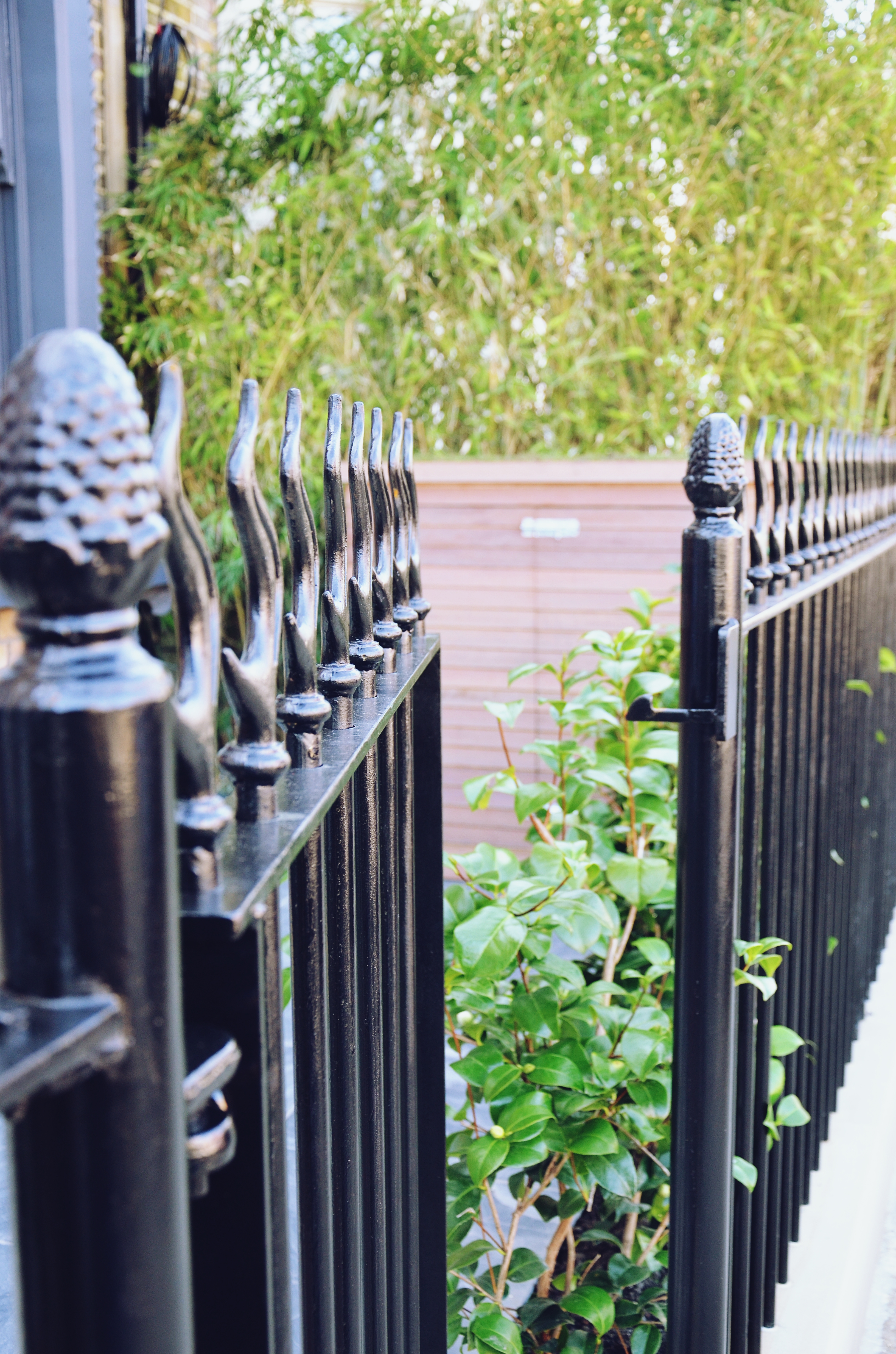 Victorian restoration with modern twist heavt steel wrought rail and gate